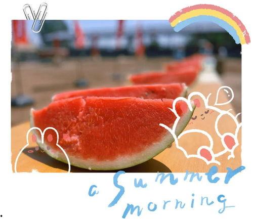 吃瓜大聚会,揭秘吃瓜大聚会的欢乐时光