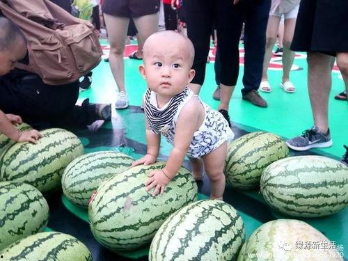 吃瓜大聚会,揭秘吃瓜大聚会的欢乐时光