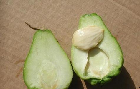 手瓜怎样吃佛手瓜