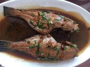 舟山家族吃瓜,瓜田里的欢乐时光