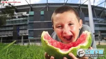 丑女吃瓜图片表情包,表情包中的幽默与智慧