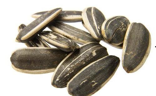 吃瓜子怎么挑瓜