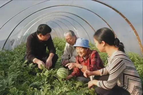 乡下吃瓜老奶奶,老奶奶的乡村吃瓜时光