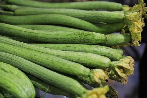 玩嫩瓜吃,玩转田园，尽享清新口感