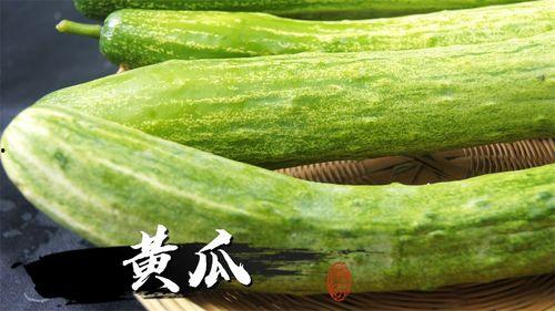 玩嫩瓜吃,玩转田园，尽享清新口感