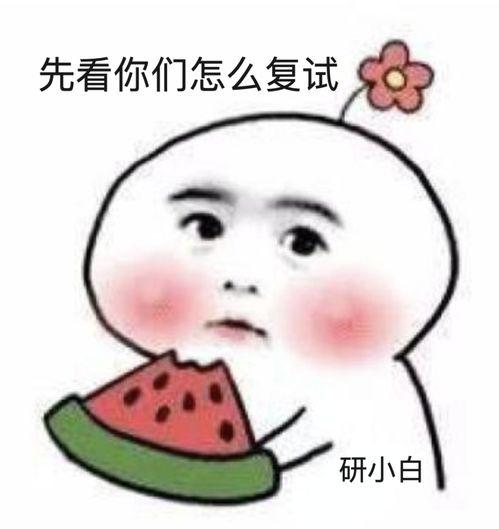 吃瓜哭了文案怎么写,揭秘“吃瓜哭了”背后的感人故事