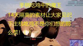 呆呆瓜吃鸡全集,欢乐逗趣的电竞之旅