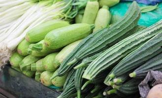 广州财校吃瓜,揭秘校园吃瓜背后的故事