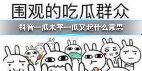 吃瓜君抖音,热门事件背后的真相与笑料