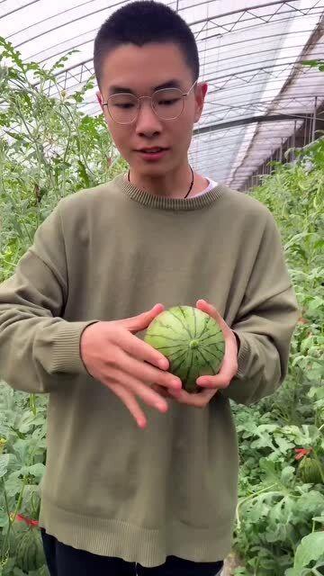 剥皮吃心的瓜,探寻“剥皮吃心”的瓜的秘密