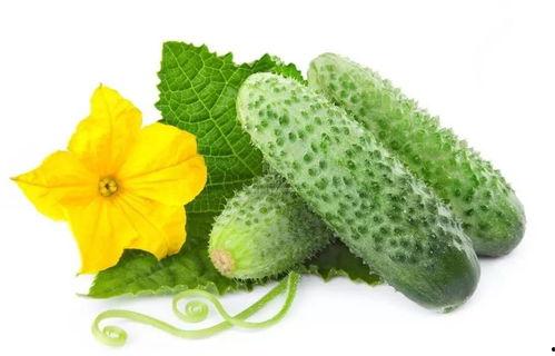 纪瑾年吃瓜系统,揭秘娱乐圈幕后风云