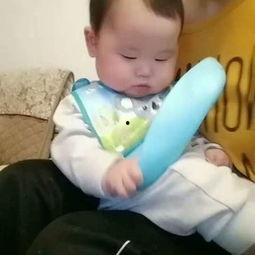 吃瓜毛小孩,毛小孩的瓜田奇遇记