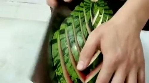 吃瓜毛小孩,毛小孩的瓜田奇遇记