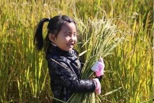 孩子在稻田旁吃瓜,孩子快乐成长瞬间