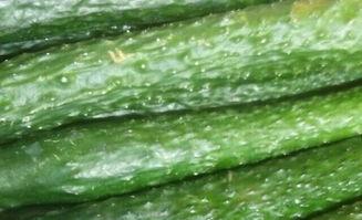 成都武侯区吃瓜事件