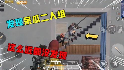 吃鸡中发现呆瓜,呆瓜奇遇记