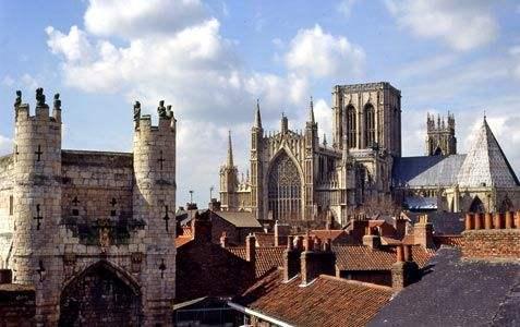 约克大学吃瓜,揭秘“吃瓜”背后的故事