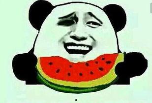 任性吃瓜,揭秘娱乐圈幕后真相