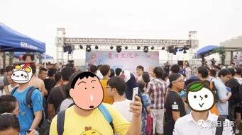 51朝阳观众吃瓜,揭秘娱乐圈那些吃瓜背后的故事