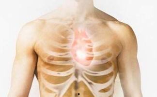 肺心病病人可以吃瓜,适量吃瓜，健康生活  第3张