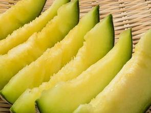 摄影得吃瓜,捕捉生活中的趣味瞬间 第2张 摄影得吃瓜,捕捉生活中的趣味瞬间 第2张