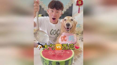 吃瓜吃急眼,揭秘网络热议背后的心理现象