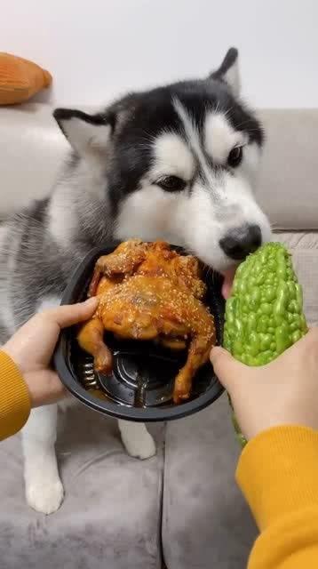 吃瓜吃急眼,揭秘网络热议背后的心理现象  第3张