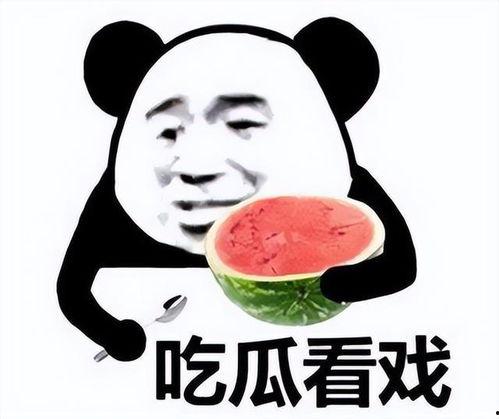 吃瓜偷听的表情包,表情包里的欢乐瞬间