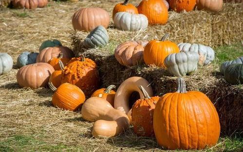 阿弥陀佛吃瓜,一场佛界与凡间的跨界吃瓜盛宴  第3张