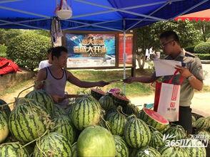 同泰小区吃瓜,邻里纷争背后的真相揭秘  第1张