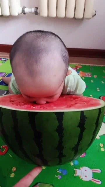 熊孩子的吃瓜,一场关于好奇与成长的趣味之旅  第2张