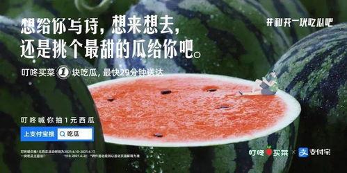 吃瓜文案怎么写