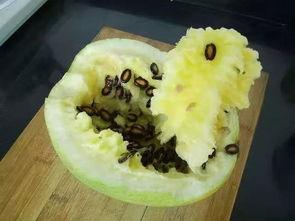 籽瓜能否热吃,冷热皆宜的美食佳品  第1张