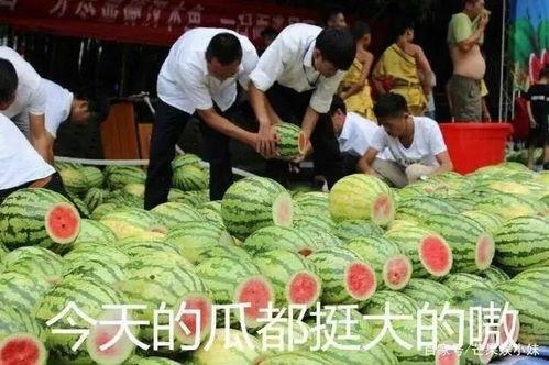 心酸的吃瓜文章  第2张