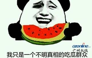 吃鸡买瓜啥梗,揭秘网络热梗背后的趣味与智慧  第2张