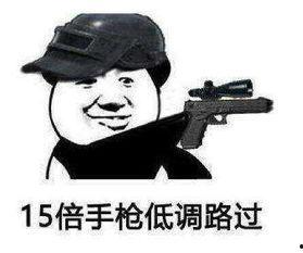 吃鸡买瓜啥梗,揭秘网络热梗背后的趣味与智慧  第3张