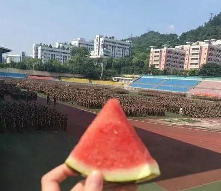 郑州幼儿师范吃瓜,揭秘背后真相与反思  第2张