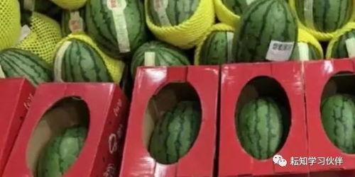 郑州幼儿师范吃瓜,揭秘背后真相与反思  第3张