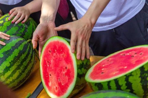 大学女吃瓜,揭秘校园八卦背后的真相与趣味  第1张