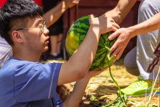 大学女吃瓜,揭秘校园八卦背后的真相与趣味  第2张