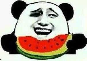 儒雅吃瓜群众,揭秘娱乐圈背后的故事  第3张