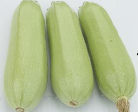 孕妇可以吃茭瓜  第2张