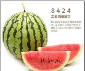 自由吃瓜基地简介,揭秘网络舆论的自由乐园  第3张