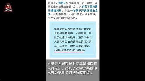 搬凳子吃瓜群众,吃瓜群众的趣味生活  第2张