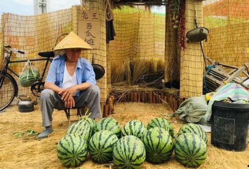 吃瓜吃到自己家乡,一场关于家乡的意外“吃瓜”之旅  第3张